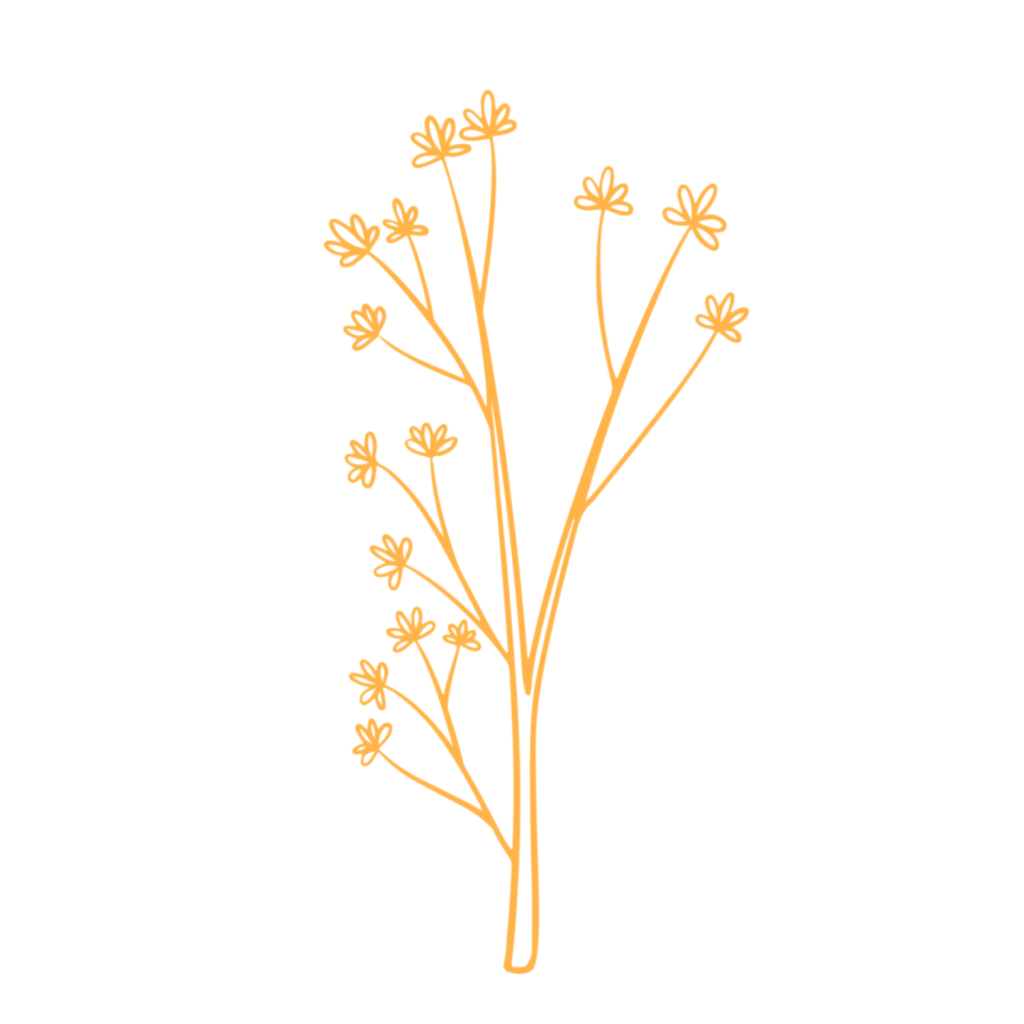 A yellow flowers on a black background captured by a Tacoma photographer.